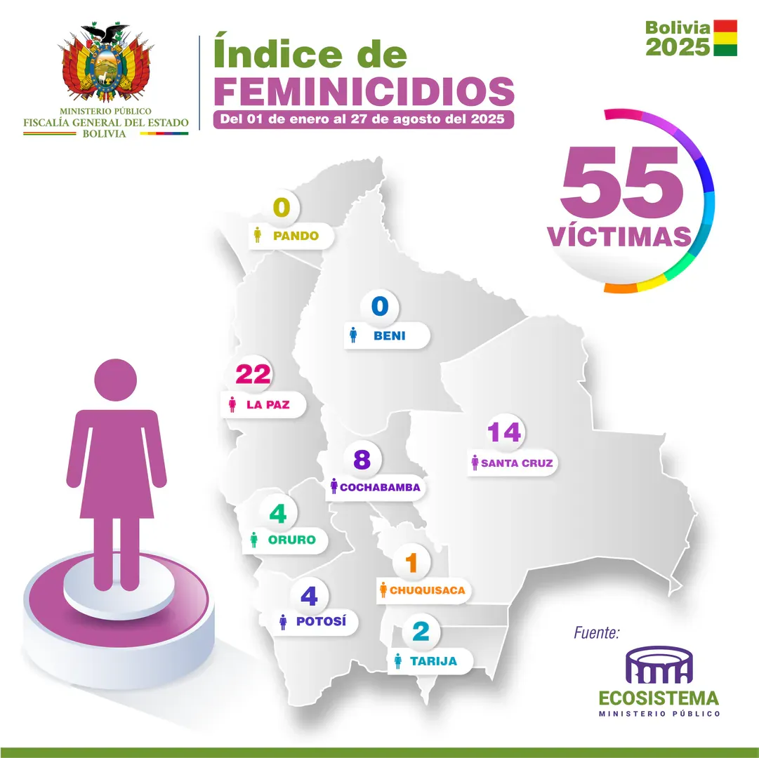 Feminicidios Reporte 27-08-2025